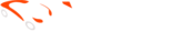 pecaporpecas.com